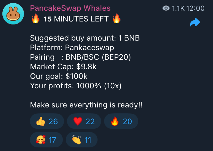 Screenshot showing promised gains in the PancakeSwap Whales pump and dump scheme